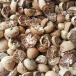 Pinang Split Super Klotok 3 Pinang Split Super Klotok 3