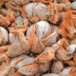 WhatsApp Image 2025-05-10 at 22.52.14_3790501e