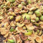 WhatsApp Image 2025-05-10 at 22.52.14_c16c84f9