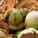 WhatsApp Image 2025-05-10 at 22.52.15_db8a2cf6