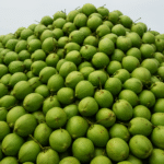 kelapa-hijau-zoe-export