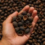 86fdf2a4-9c26-4817-a7a7-f6ecca97cb10 86fdf2a4-9c26-4817-a7a7-f6ecca97cb10