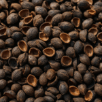 e461b490-a591-475e-9d4b-2666d34a6baf e461b490-a591-475e-9d4b-2666d34a6baf