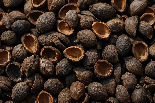 palm-kernel-shell-thumbnail